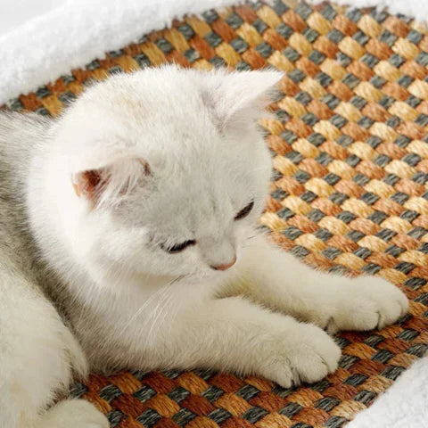 Royaleva Cat Scratch Board with Cozy Sleeping Area