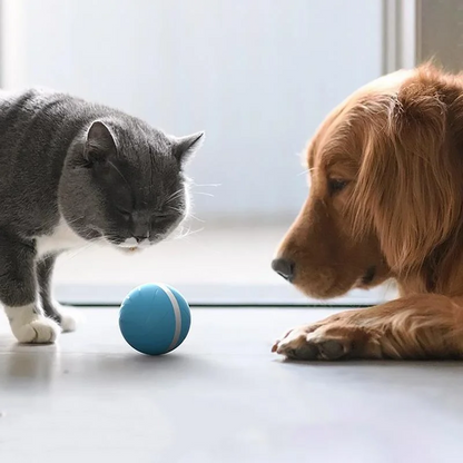 Royaleva Magic Ball Pet Motion Toy for Dogs and Cats