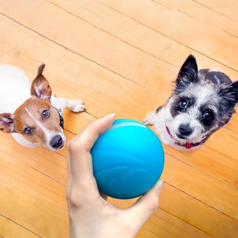 Royaleva Magic Ball Pet Motion Toy for Dogs and Cats