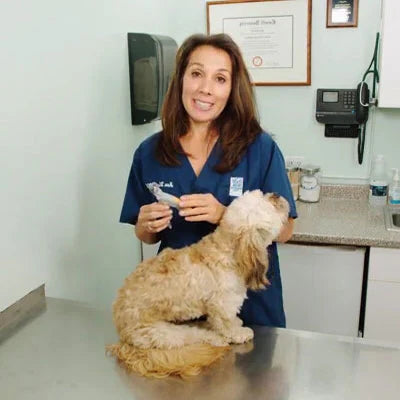 Royaleva Best Dog Nail Clipper With Quick Sensors Safe Trim
