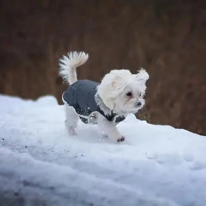 Royallure Waterproof Sherpa-Lined Dog Jacket with Built-In Harness – Warm, Windproof, Easy-Walk