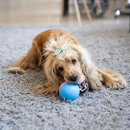 Royaleva Magic Ball Pet Motion Toy for Dogs and Cats