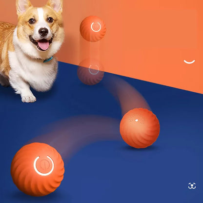 Royaleva Active Rolling Ball Anti-Anxiety Automatic Moving Ball