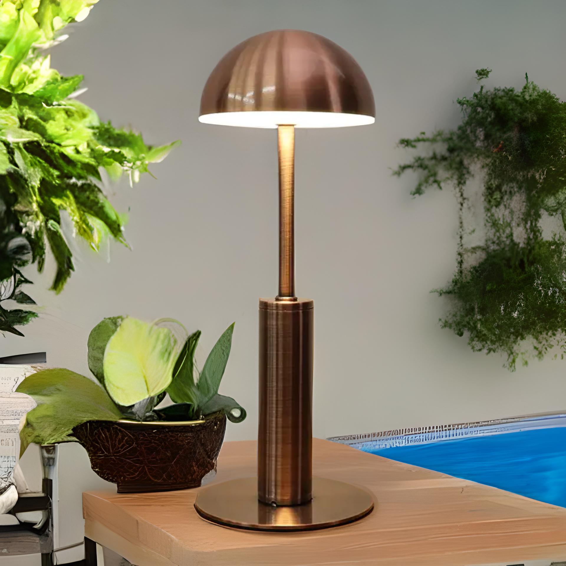 RoyaleGlow Cordless Table Lamp with Dimmable Warm Light, Rechargeable Touch Control - Perfect for Home, Bar, and Restaurant Ambiance - Bronze