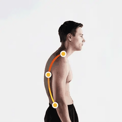 Royaleva Corrects Posture & Back Pain Support Brace