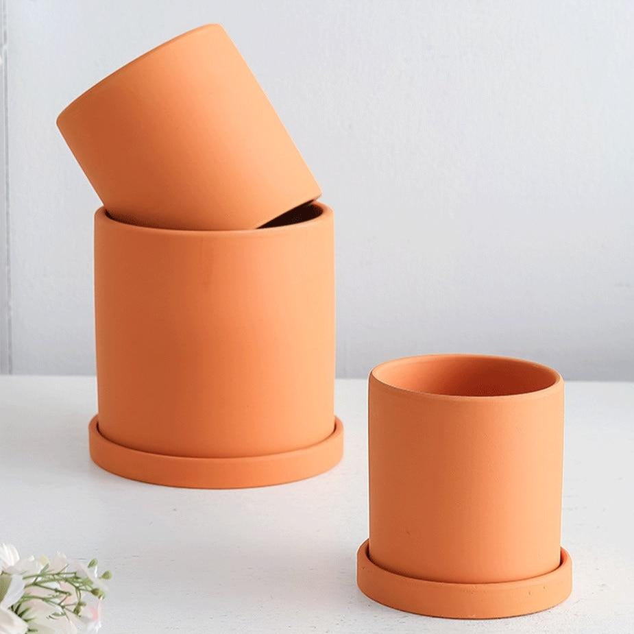 Royaleva All The Bright Colors Planter with Saucer Set