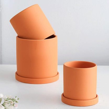 Royaleva All The Bright Colors Planter with Saucer Set