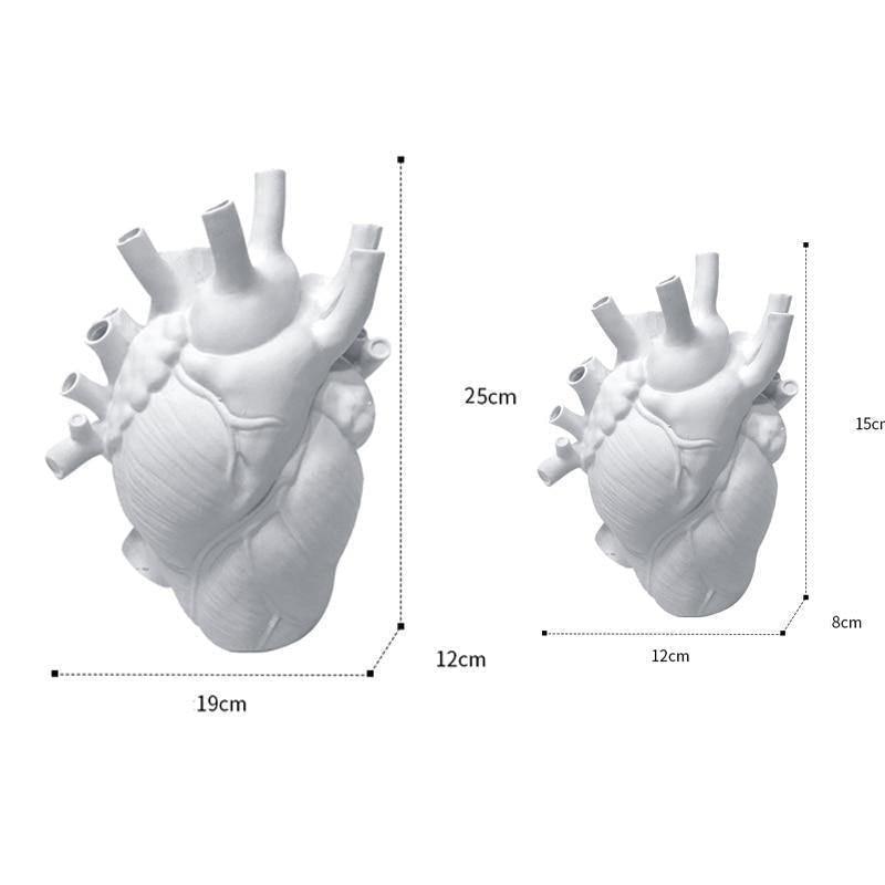 Royaleva Anatomical Heart Ceramic Vase for Home Decor