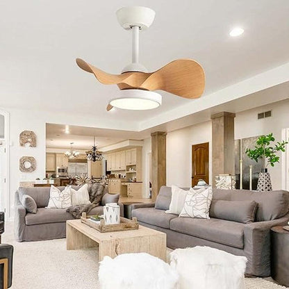 Royelux Modern Small Ceiling Fan with LED Light & Remote for Bedroom & Nursery-Royale Basic