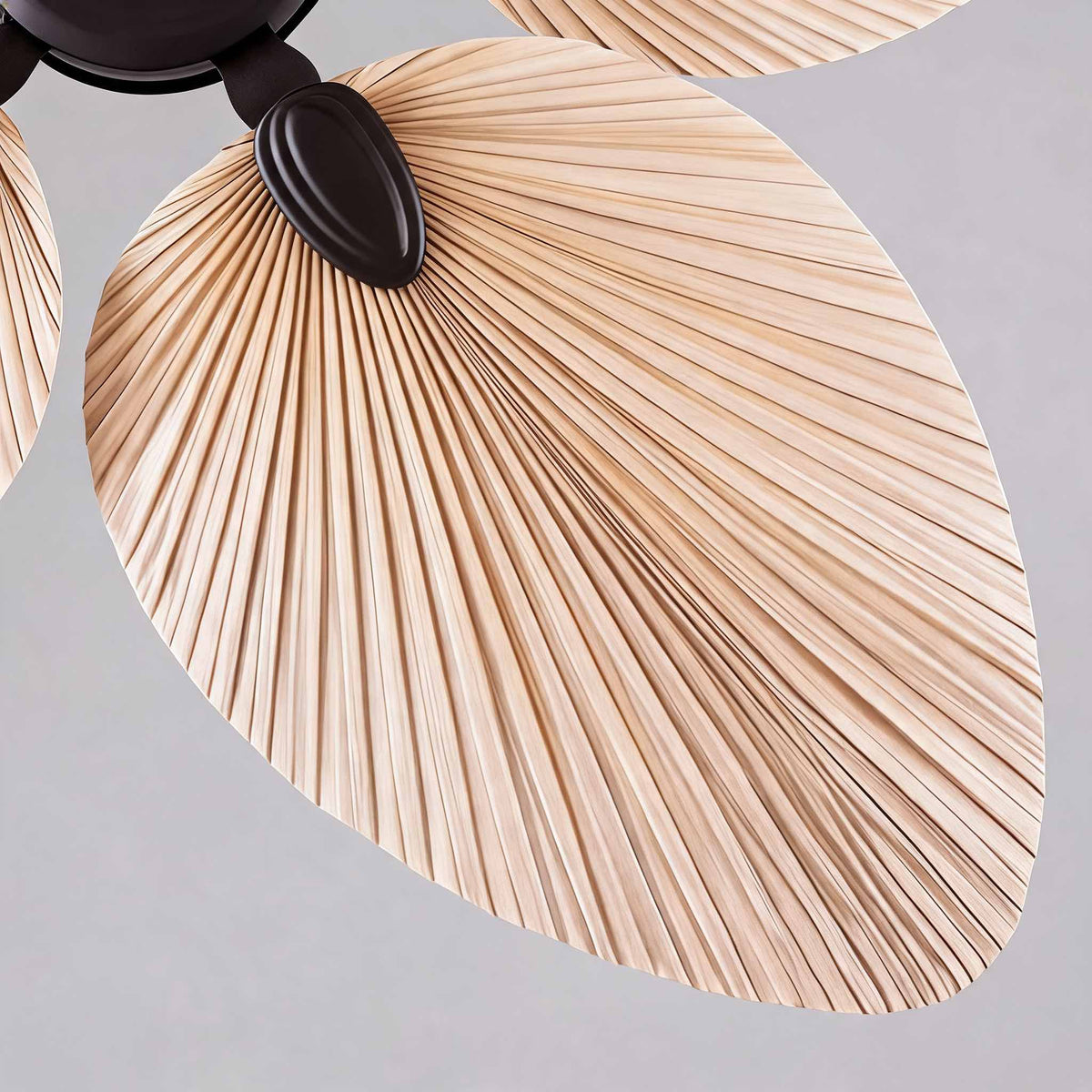 Royelux Tropical Palm Leaf Ceiling Fan With Light And Remote Control - Royale Basic