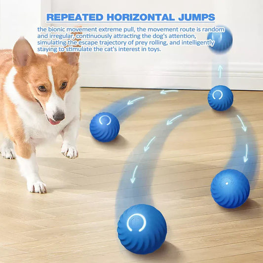 Royaleva Active Rolling Ball Anti-Anxiety Automatic Moving Ball