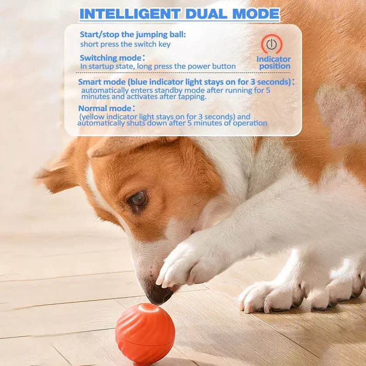Royaleva Active Rolling Ball Anti-Anxiety Automatic Moving Ball