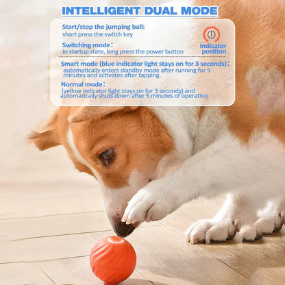 Royaleva Active Rolling Ball Anti-Anxiety Automatic Moving Ball