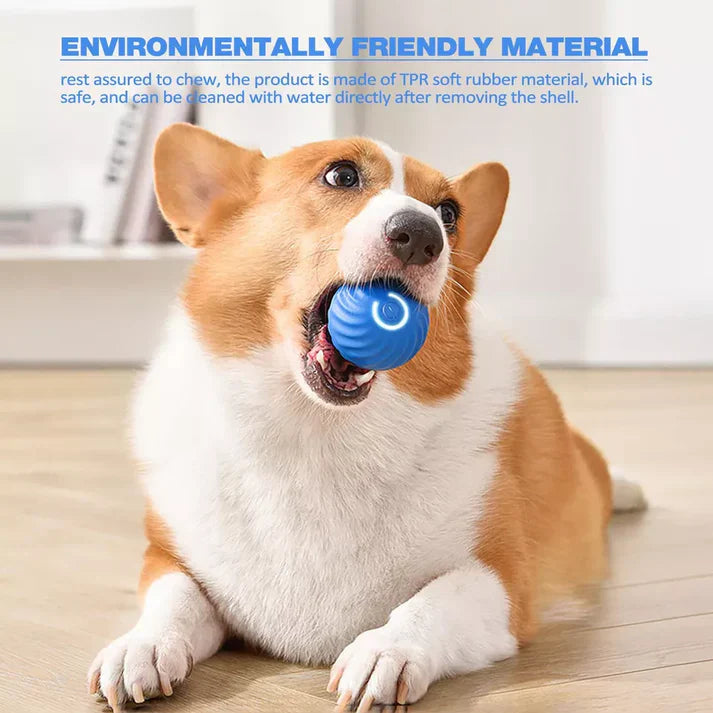 Royaleva Active Rolling Ball Anti-Anxiety Automatic Moving Ball