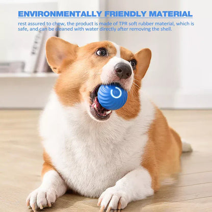 Royaleva Active Rolling Ball Anti-Anxiety Automatic Moving Ball