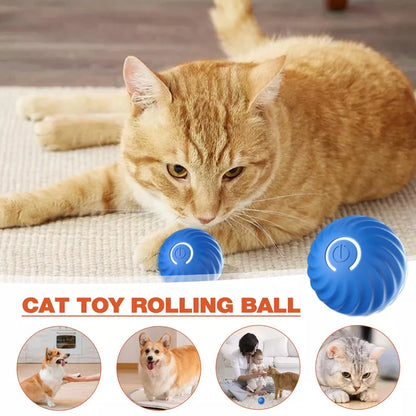 Royaleva Active Rolling Ball Anti-Anxiety Automatic Moving Ball