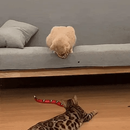 LuxRoyale Smart Sensor Interactive Snake Toy For Cats