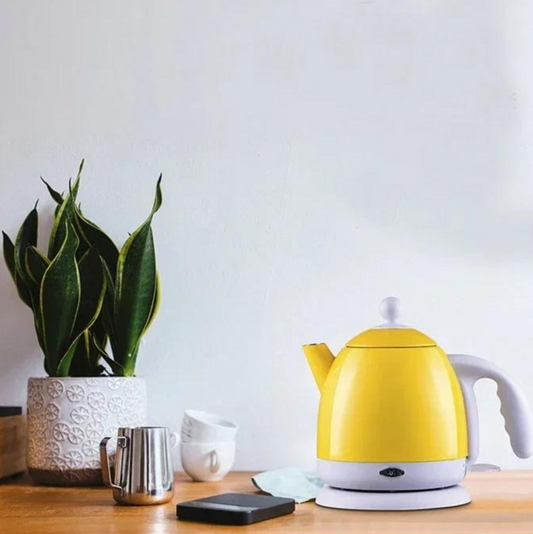 Royallure Electric Tea Kettle with Fast Boil, 1.7L, Stainless Steel, 360-Degree Base