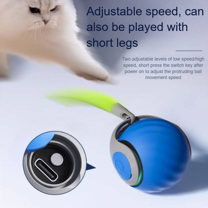RoyaleGlow Interactive Cat Toys For Indoor Cats 360° Motion
