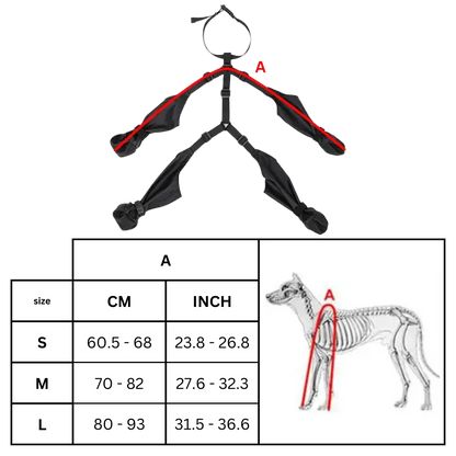 Royaleva Waterproof Dog Suspenders Boots for All Breeds