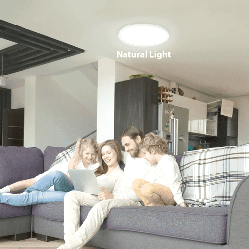 Royallure Ultra-thin LED Ceiling Light with Adjustable Brightness