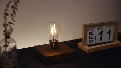 RoyaleGlow Magnetic Levitating Floating Led Light Bulb